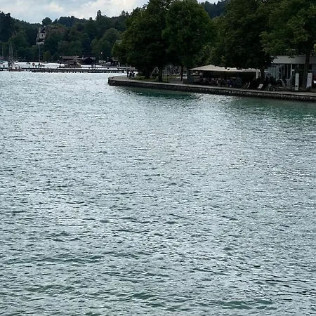 Bacherlhouse - Schoenbach