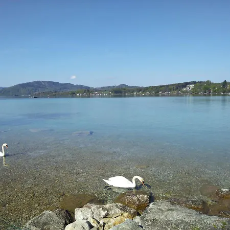 Apartment Bacherlhouse - Schoenbach