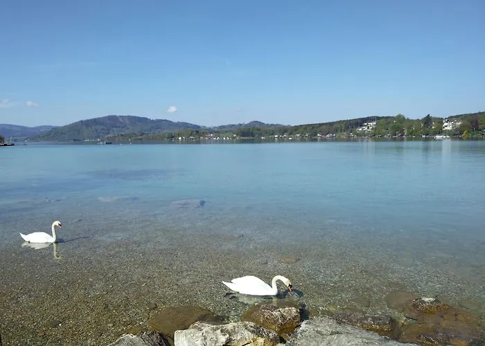 Apartment Bacherlhouse - Schoenbach